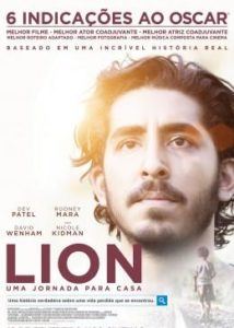 lion