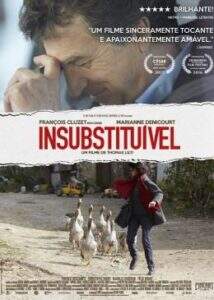 insubstituivel