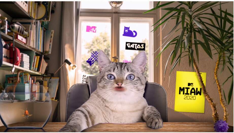 MTV estreia "MIAW Cat Show", esquenta para o MTV MIAW 2020