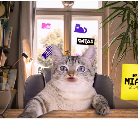 MTV estreia 