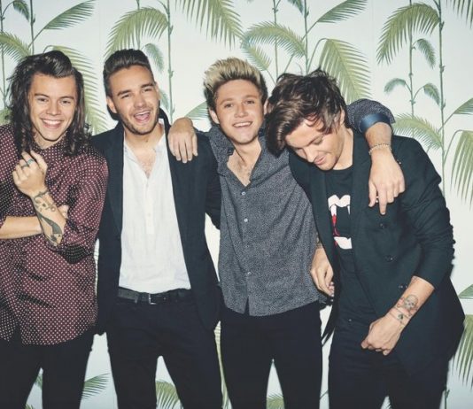 Dez anos de One Direction