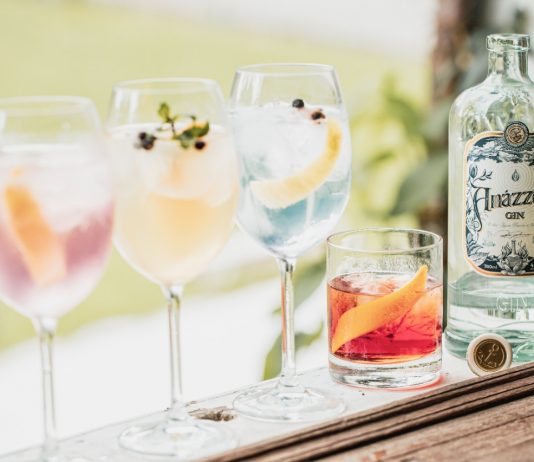 BM Corp fecha colaboração com a Amázzoni Gin