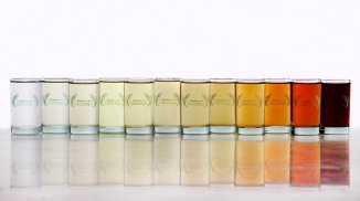 cachaça