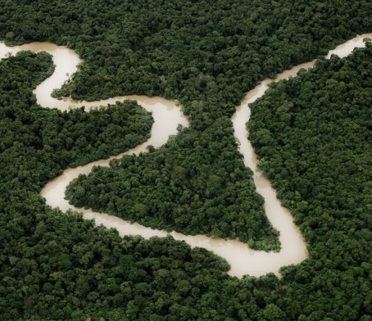 Amazônia Eterna será exibido no Curta!, no Dia da Amazônia