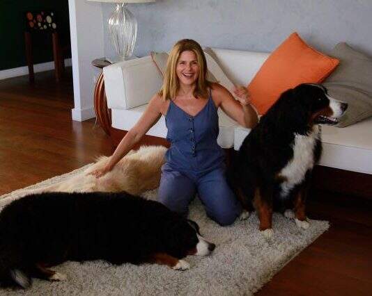 Mundo Pet