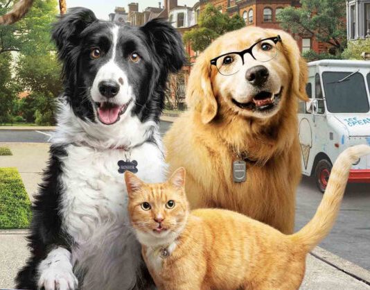 Como cães e gatos 3