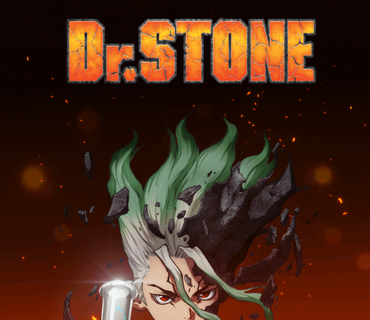 Dr. Stone