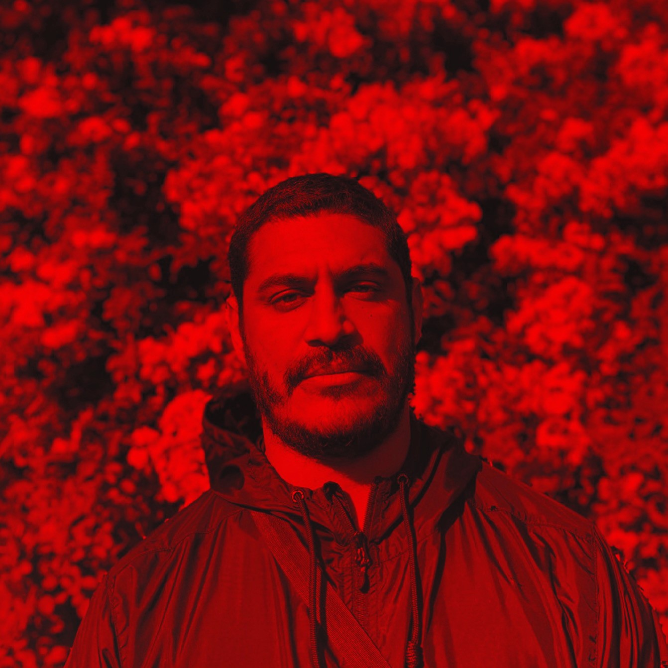 Criolo