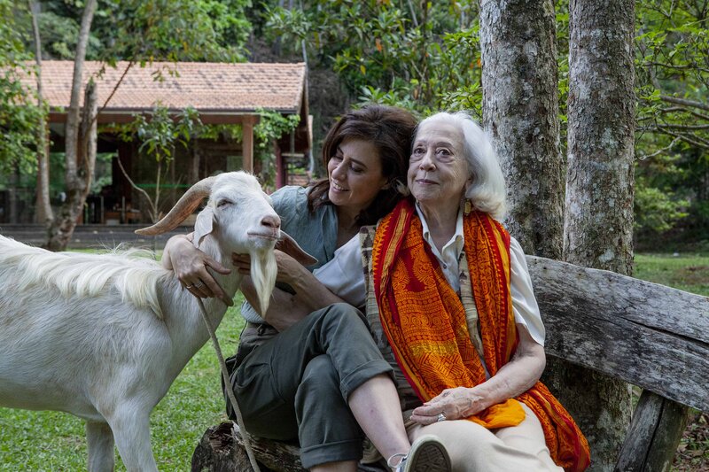 Gilda, Lúcia e o Bode