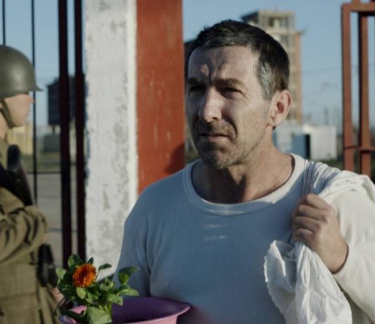 Uma Noite de 12 Anos