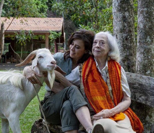 Gilda, Lúcia e o Bode