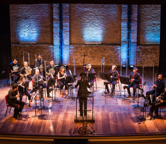 Série Músicos da OSB