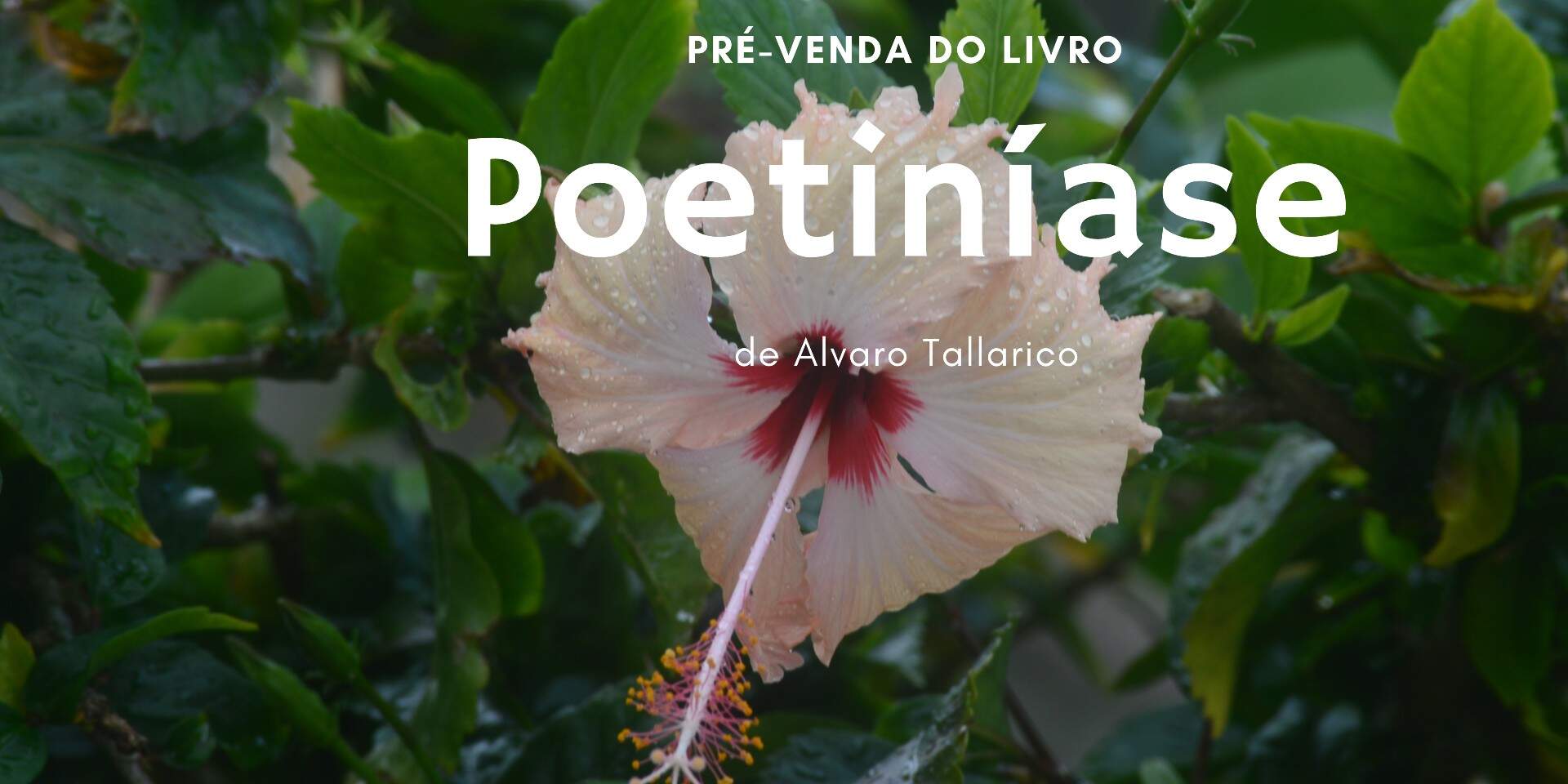 "Poetiníase"