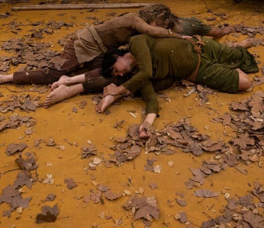 Seis Propostas para o Silêncio chega a Casa França-Brasil