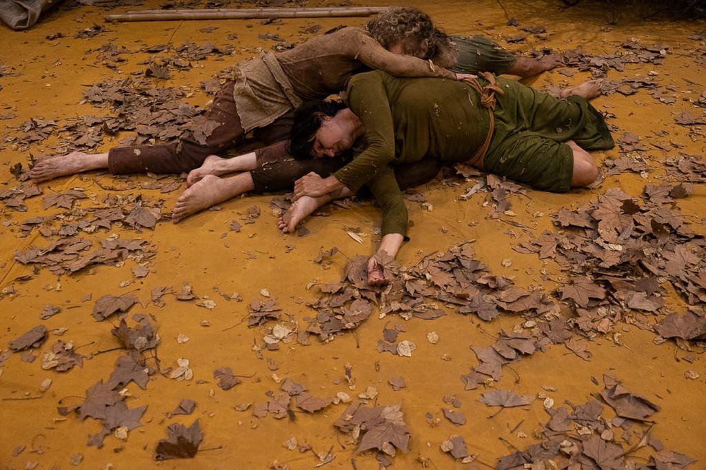 Seis Propostas para o Silêncio chega a Casa França-Brasil