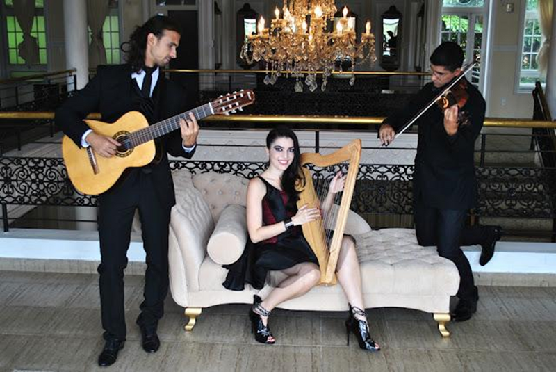 Trio Amadeus