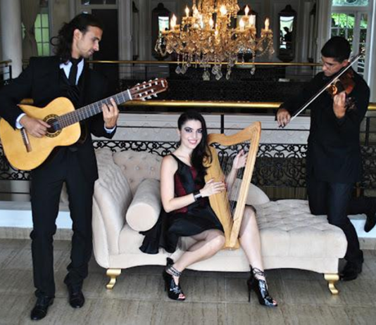 Trio Amadeus