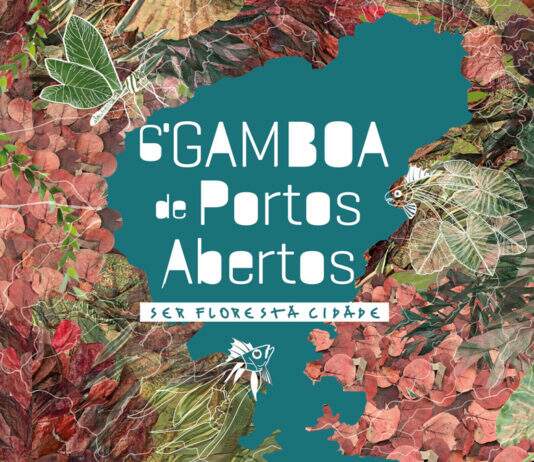 Festival Gamboa de Portos Abertos