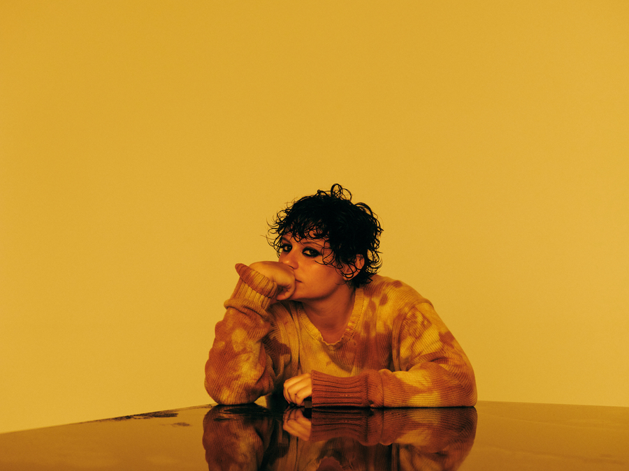 Ana Frango Elétrico