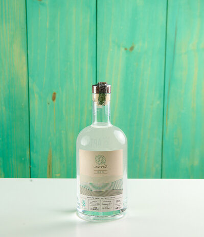 Gurumê e APTK Spirits