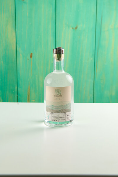 Gurumê e APTK Spirits