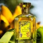 Granado promove diversas ações no Carnaval 2026